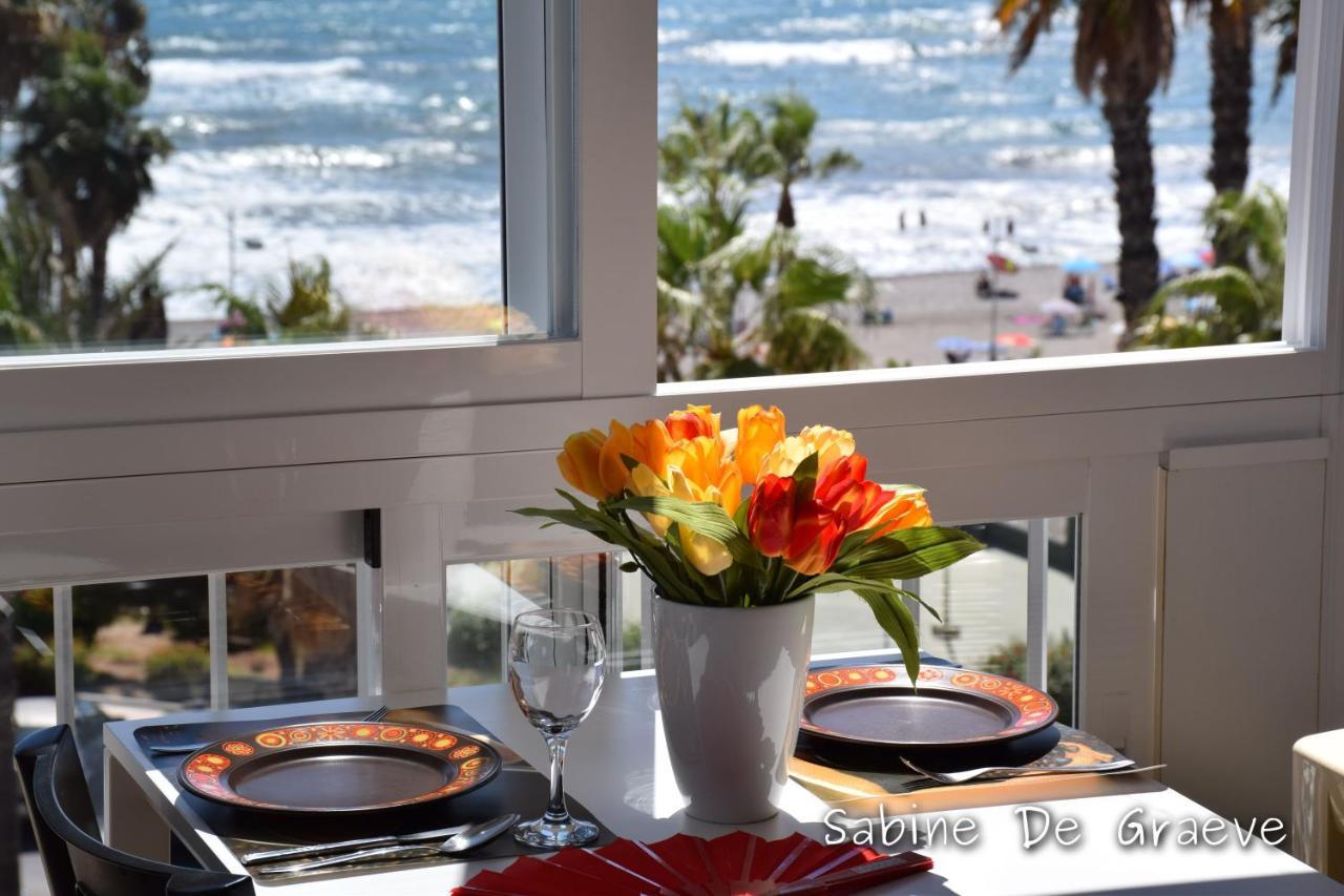 Nest By The Sea Wake Up With Ocean Views In Every Ruselo R408 Apartment