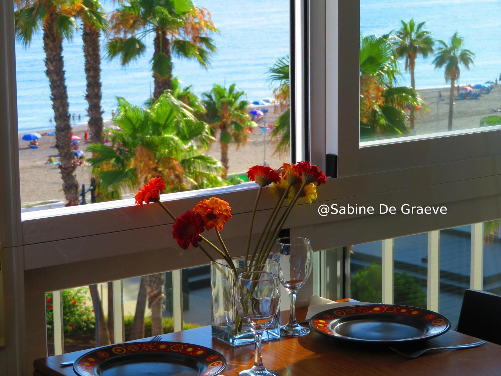Nest By The Sea Wake Up With Ocean Views In Every Ruselo R408 *
