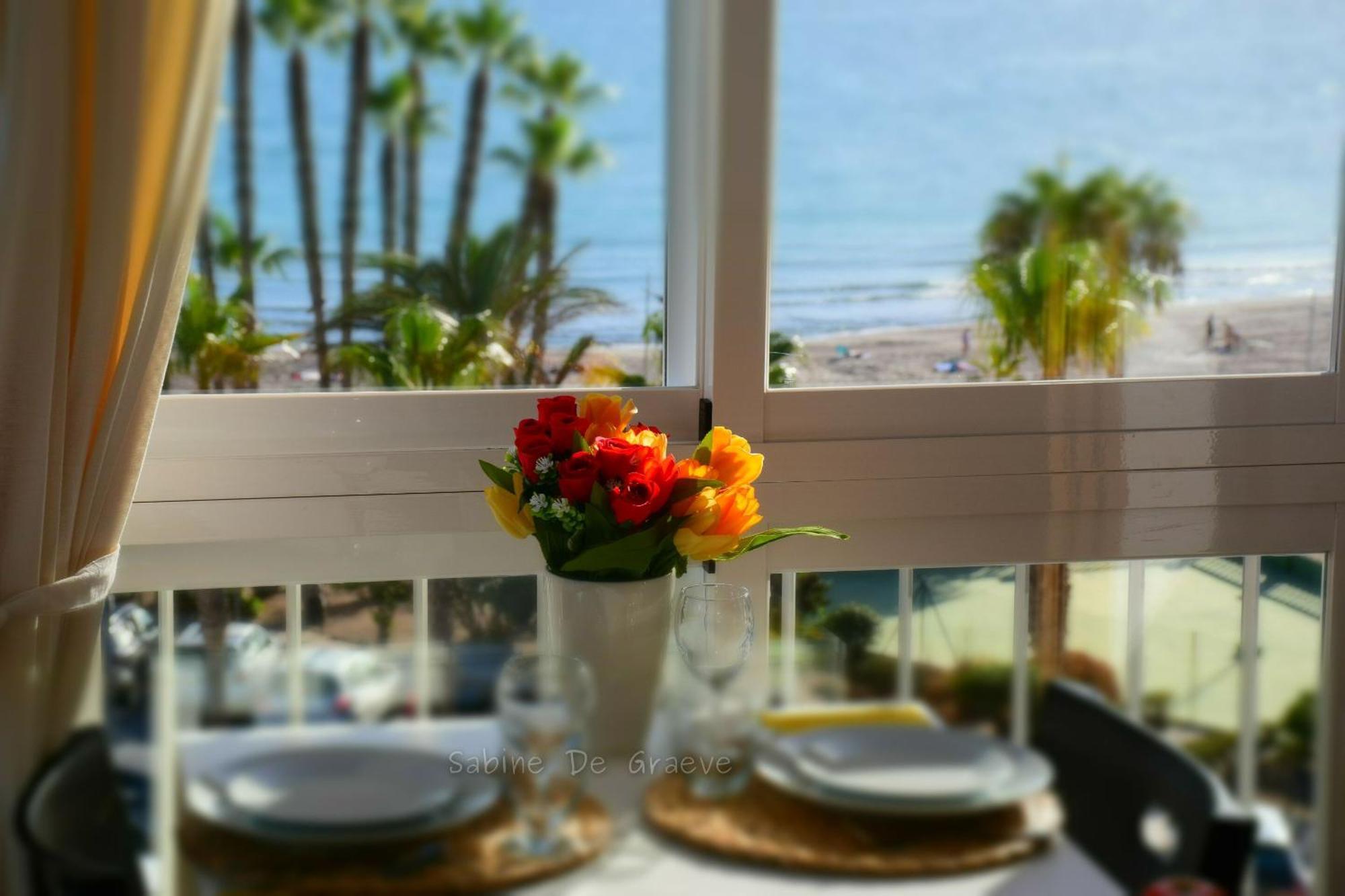 Apartment Nest By The Sea Wake Up With Ocean Views In Every Ruselo R408